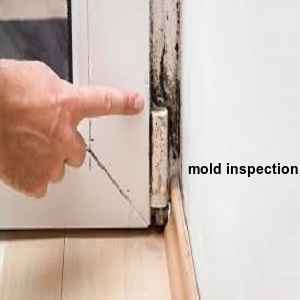 mold inspection Murillo